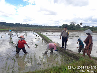 Musim Tanam Padi, Bhabinkamtibmas Simarimbun Sambangi Warga&nbsp;Binaan